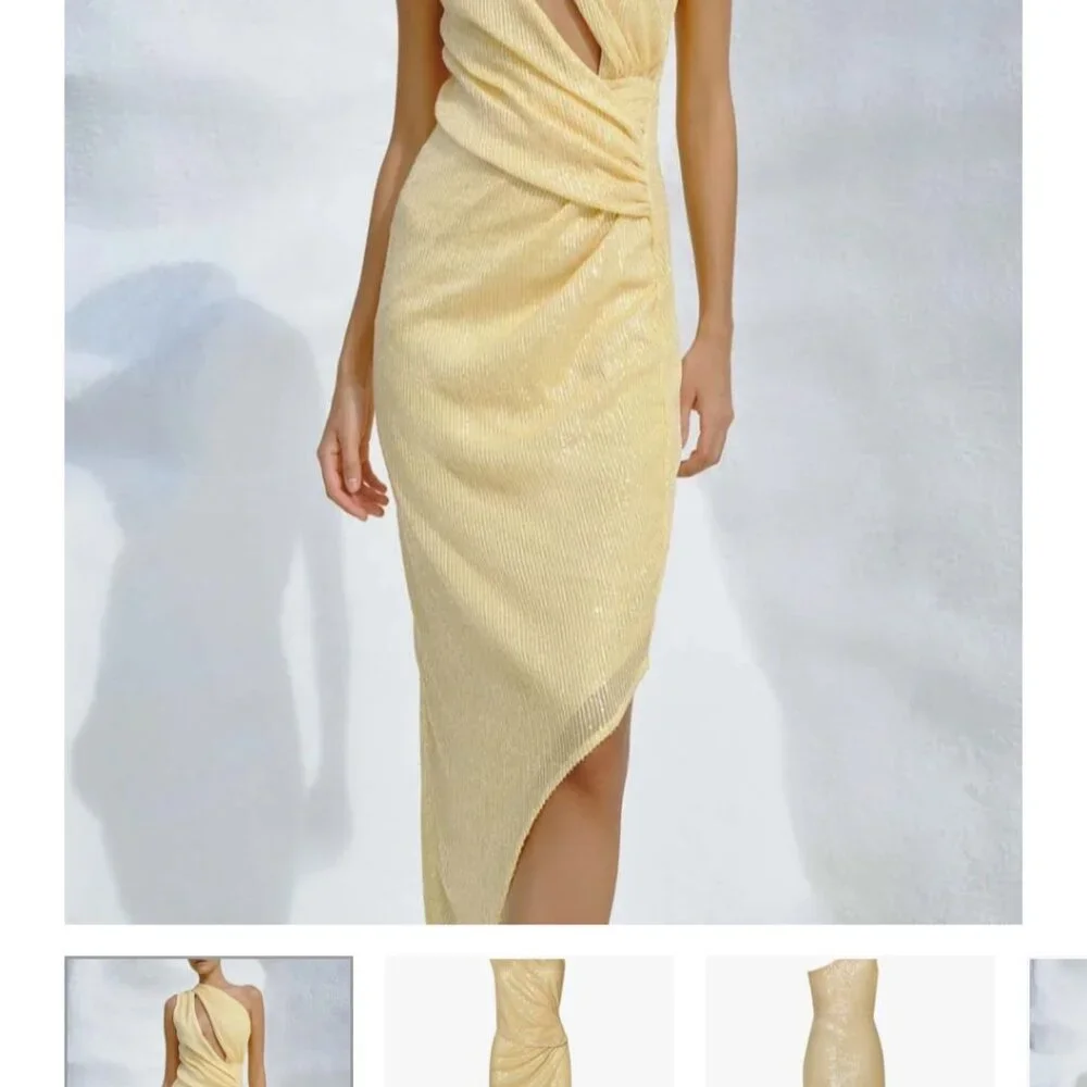 Noe Midi Dress- Baobab - Picture 3 of 3